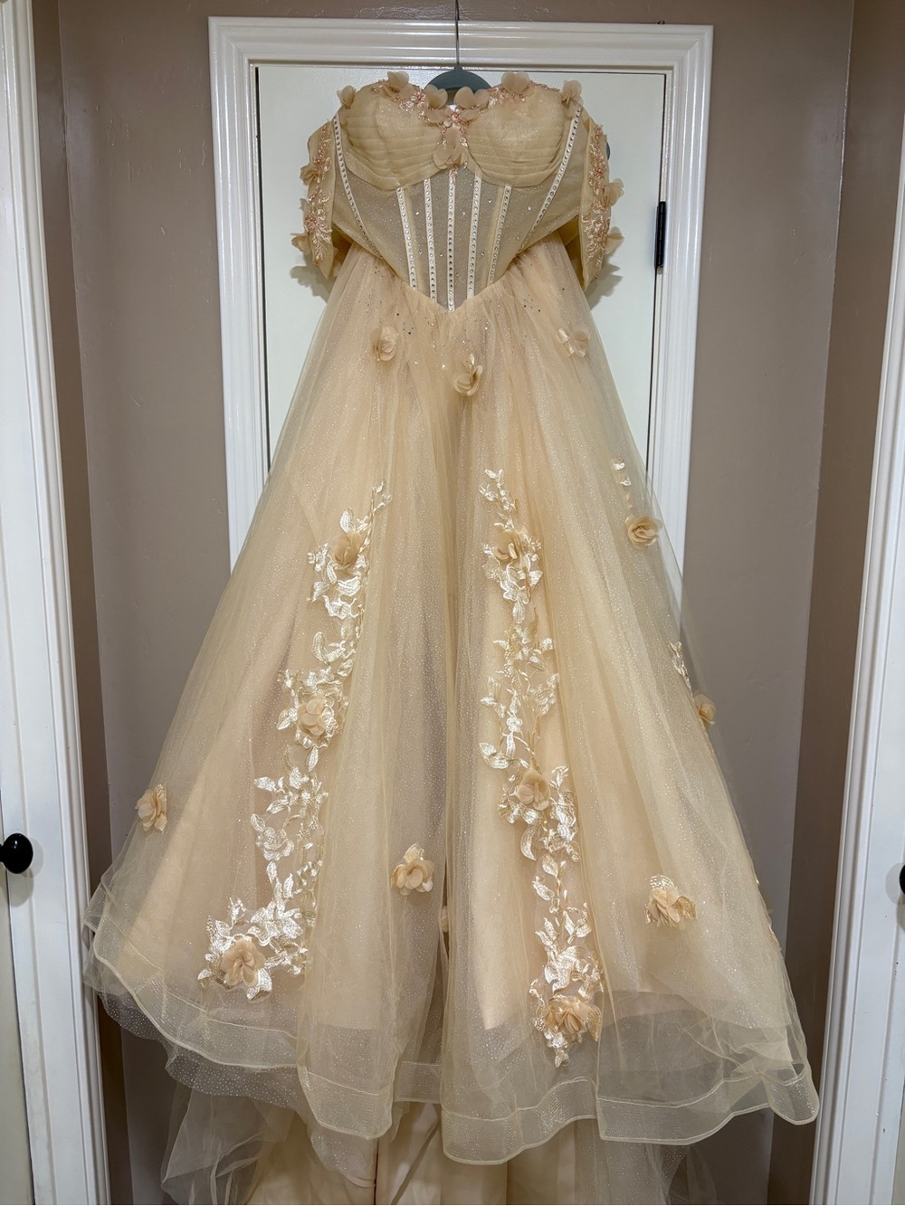 Champagne Tulle Ball Gown with Floral Appliqués - Picture 9 of 11